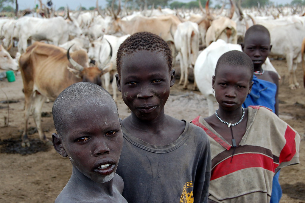 Dinka Tribe Of Sudan Where Men Adopts Ox Names Culture Nigeria