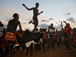 Hamar Tribe Bull Jumping Ritual: